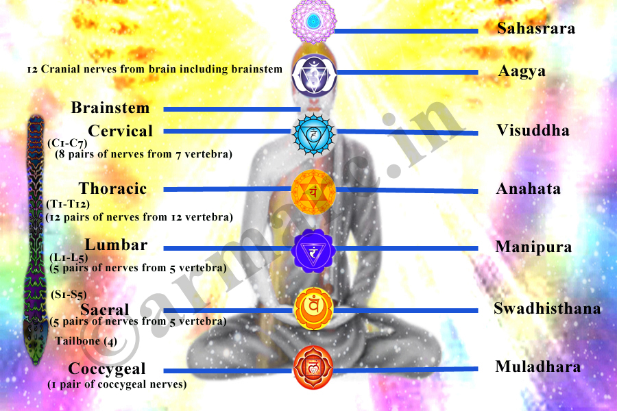 Kundalini, A Scientific Approach Towards Conciousness A Bliss