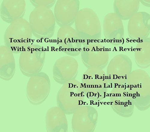 Toxicity of Gunja (Abrus precatorius) Seeds With Special Reference  to Abrin: A Review