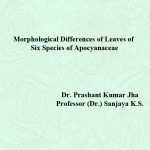 Morphological Differences of Leaves of Six Species of Apocyanaceae